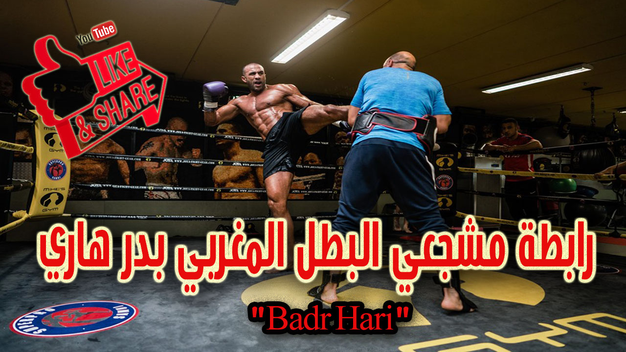 رابطة مشجعي البطل المغربي بدر هاري “Badr Hari” : عودة المنتقم المغربي