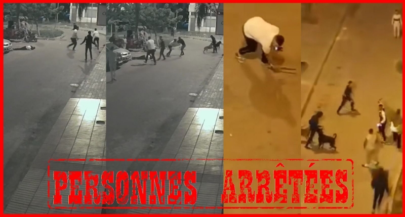 فديو لأشخاص يحوزون أسلحة بيضاء وكلاب شرسةيحرك الأجهزة الأمنية بالجديدة